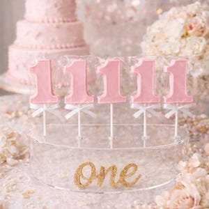 12 Pink Number One Chocolate Lollipops, First Birthday Party Favors, Girl 1st Birthday Dessert Table Treats Baby Girl Smash Cake Decor 1