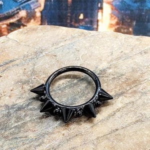 May include: A black septum ring with multiple conical spikes. The ring is made of a dark metal and has a hinged closure. The spikes are evenly spaced around the ring's circumference, creating a bold, edgy appearance.