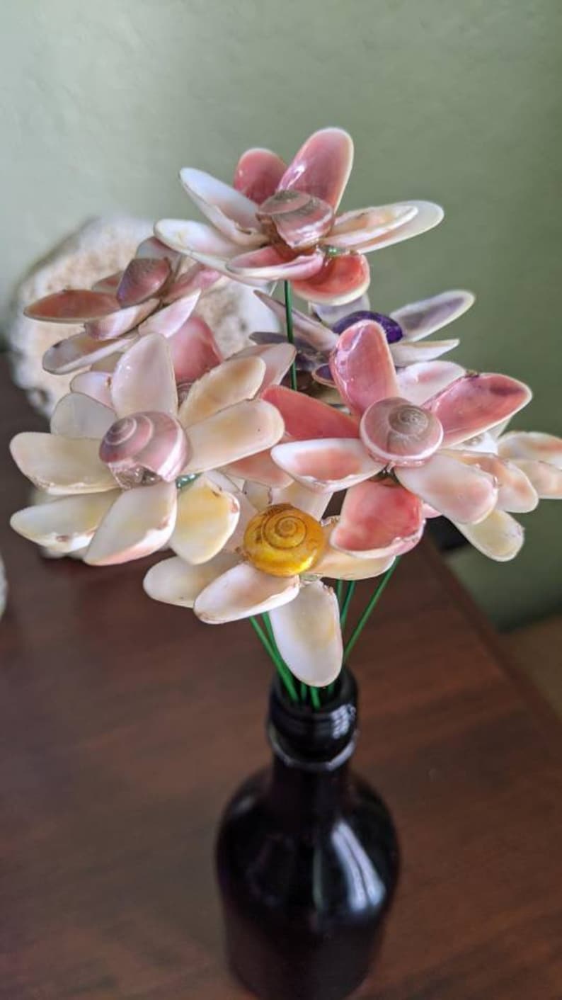 Coquina Shell Flowers: 8-petal Coastal Decor Set (5 Stems) - Etsy