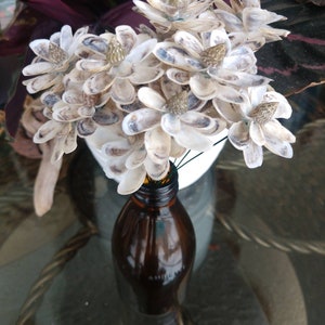 3-Mussel Shell Flowers with Snail Center