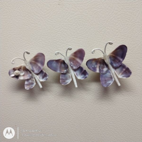 1-Seashell Butterfly Magnet/With "optional" Miniature Coquina Shell Flower