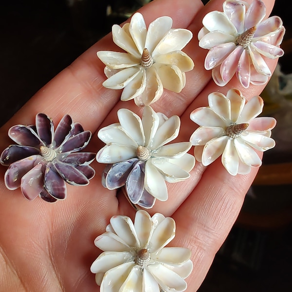 Shell Flowers - Etsy