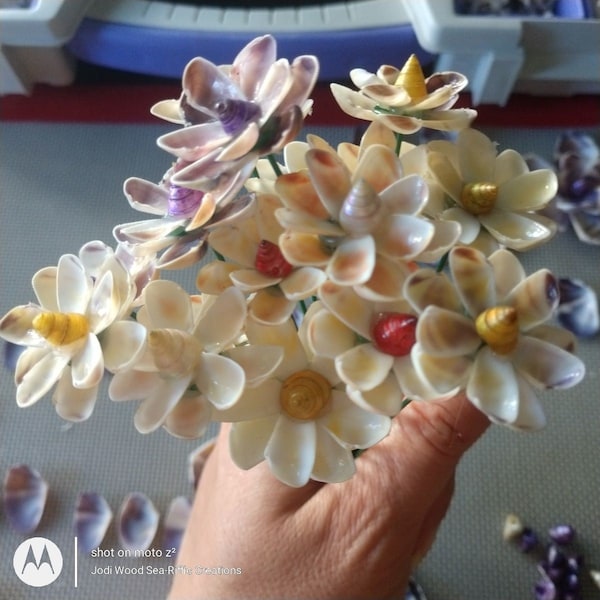 Shell Flowers - Etsy