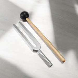 Pode incluir: Um diapasão prateado com um martelo de madeira. O martelo tem uma cabeça de borracha preta.