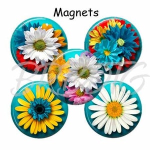 Daisy Magnets: Floral Fridge Magnets, Locker & File Cabinet Decor
