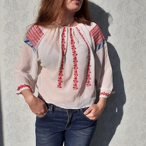 Jawhara Black Chiffon Top | Handmade with Red and Blue Embroidery