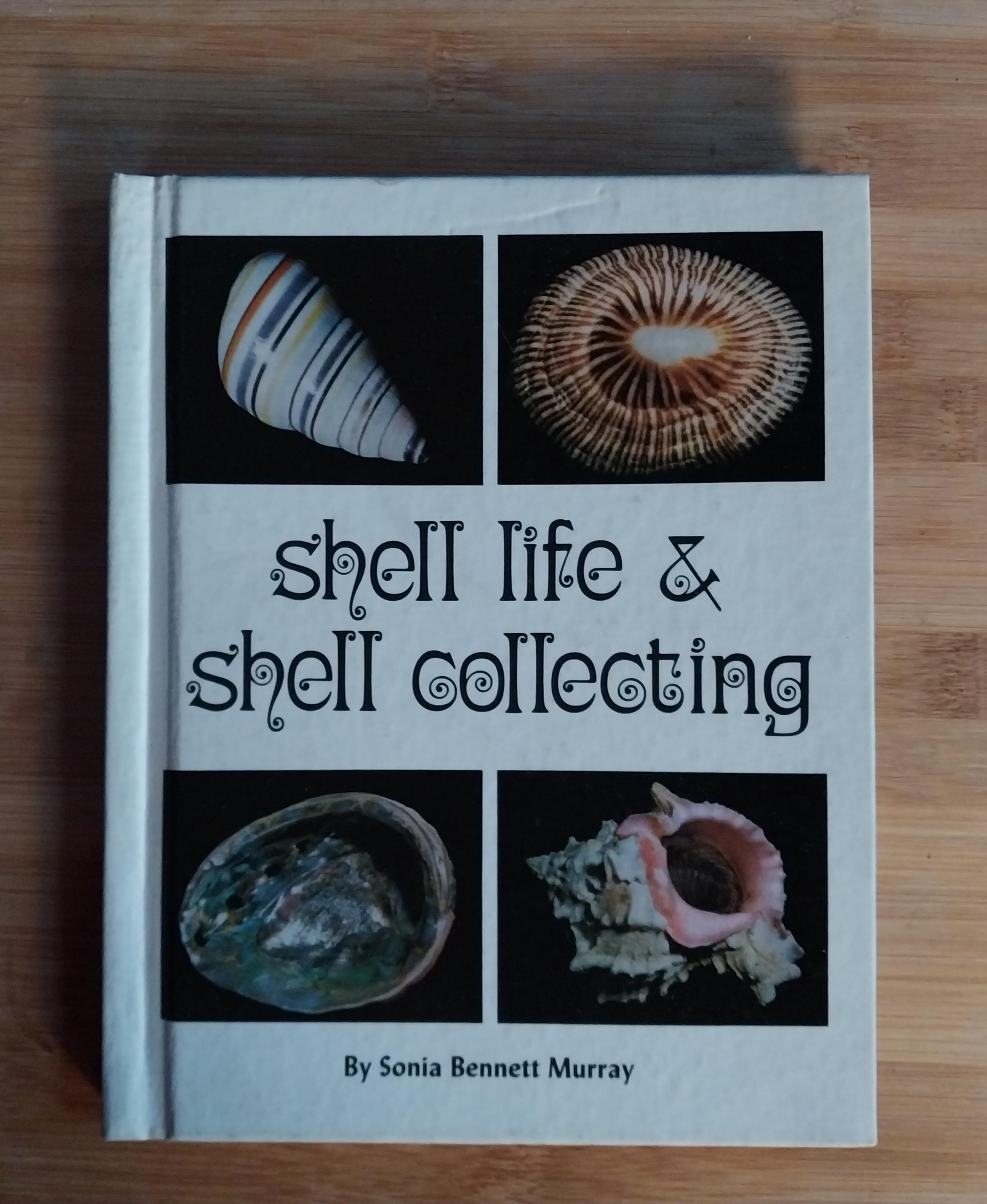 Shell Life &shell Collecting by Sonia Bennett Murray 1969 - Etsy