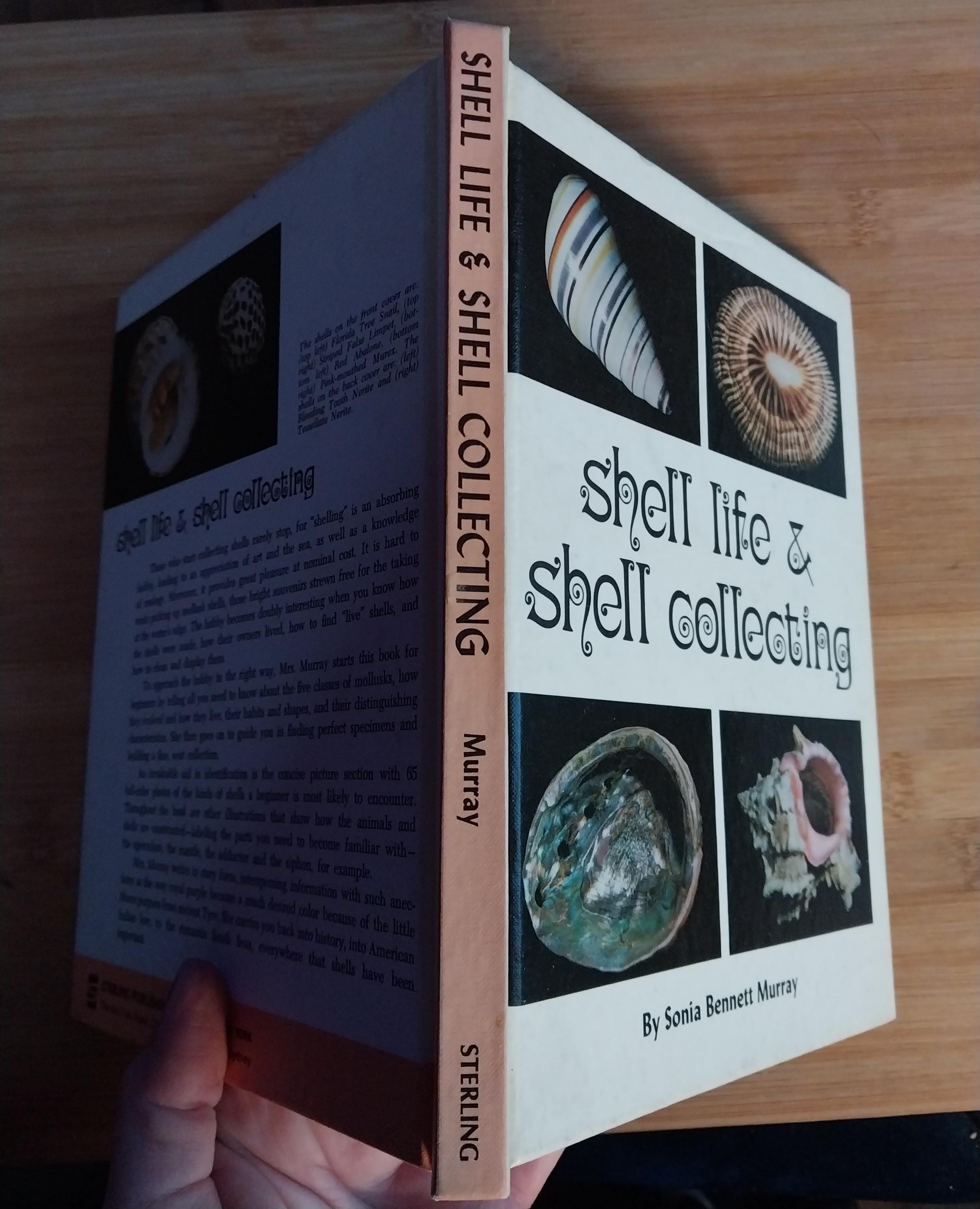 Shell Life &shell Collecting by Sonia Bennett Murray 1969 - Etsy