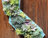 Ready to ship! Planted California State Succulent Hanging Planter