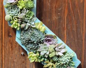 Ready to ship! Planted California State Succulent Hanging Planter