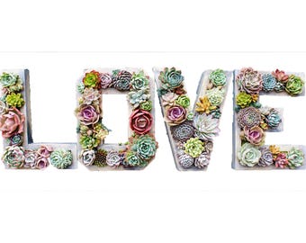 Succulent Letter Planter! A-Z Monogram Vertical Garden