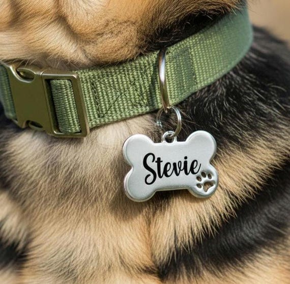 Engraved Bone Pet ID Tag: Stainless Steel Dog Cat Tag