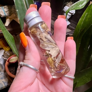 May include: A small glass bottle filled with dried flowers and herbs. The bottle has a silver lid and is held in a hand with orange nail polish.
