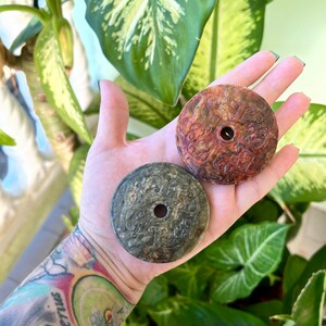 May include: Two round, flat, green and brown jade pendants with intricate carvings and a hole in the center.