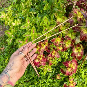 May include: Two copper-colored hair sticks are held against a backdrop of lush green foliage with red and yellow accents. The hair accessories have a simple, elegant design, perfect for various hairstyles.