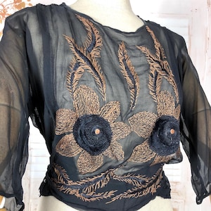 May include: A sheer black blouse with three-quarter sleeves. The blouse features intricate embroidery in shades of brown and navy blue, including floral and feather-like designs. The waist is cinched, and the neckline is round.