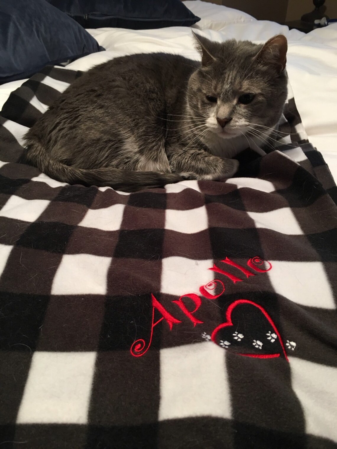 Pet Blanket Polar Fleece Embroidered Personalized Etsy