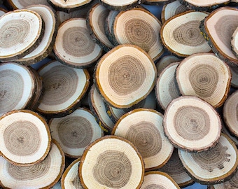 25 Oak 2.5" - 3" Wood Slices. Rustic Tree Branch Slices for Craft. Natural Wood Slices