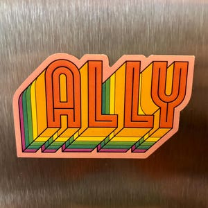 May include: A vibrant sticker displaying the word "ALLY" in a 3D block letter design. The letters are orange with black outlines, set against a rainbow gradient. The sticker is framed by a pink border.