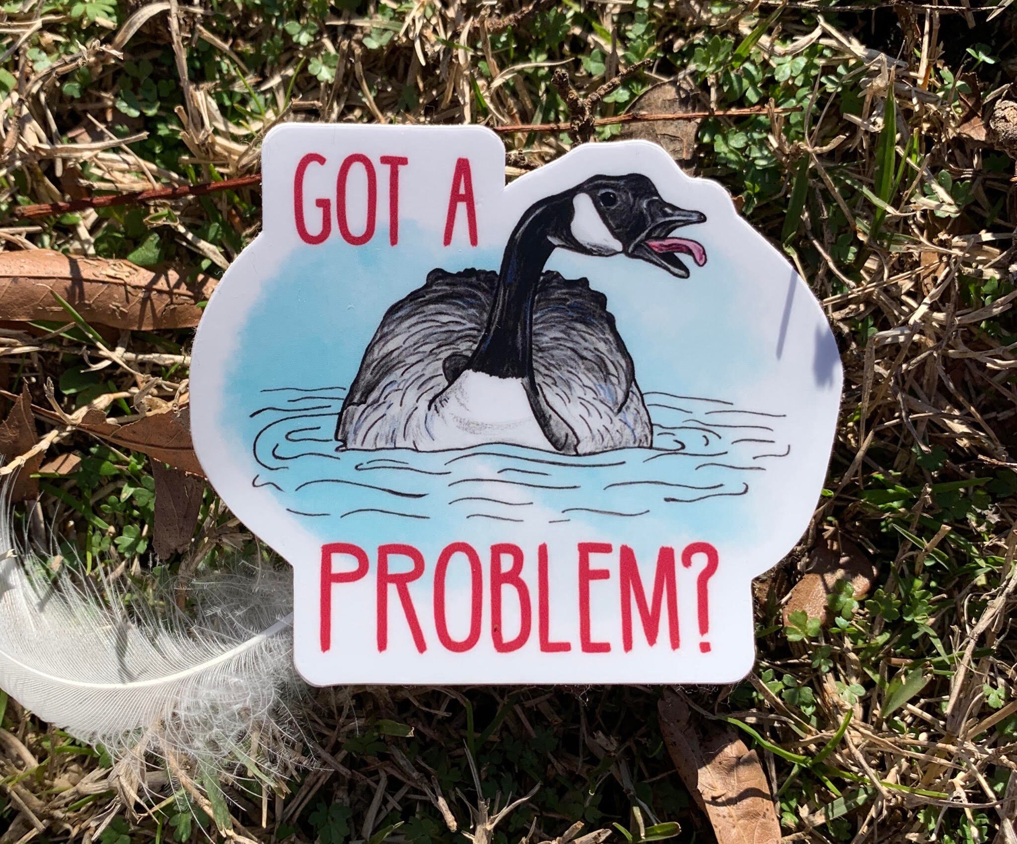 If You Got A Problem With Canada Goose's