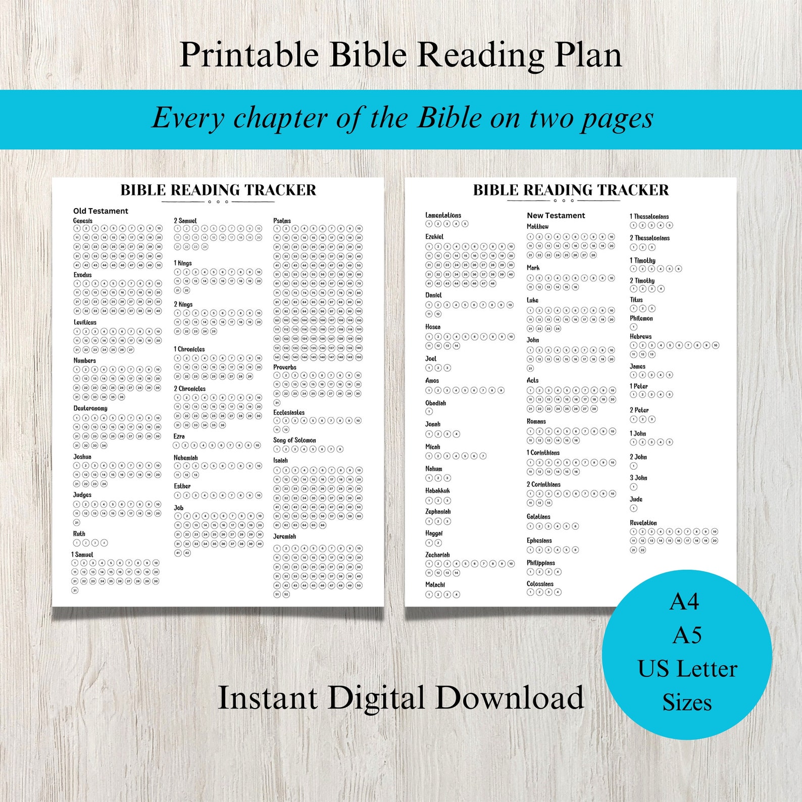 Printable Bible Reading Plan, Daily Bible Study Planner Insert, Bible ...