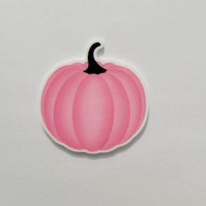 Pink Pumpkin Needle Minder