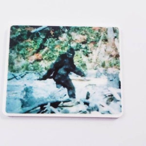 Bigfoot Needle Minder