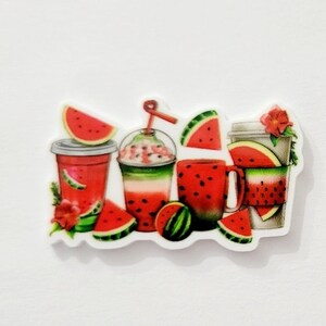 Summer Drinks- Watermelon Needle Minder