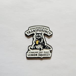 Enamel Full Transparency Raccoon Needle Minder