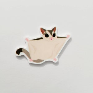 Sugar Glider Needle Minder