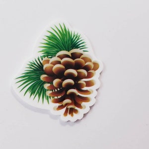 May include: A brown pine cone with green pine needles. The pine cone is surrounded by a white background.