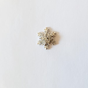 May include: A silver snowflake charm with clear crystals.