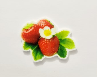 Strawberries Needle Minder