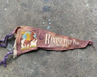 Roosevelt Park, Badlands North Dakota Pennant Vintage