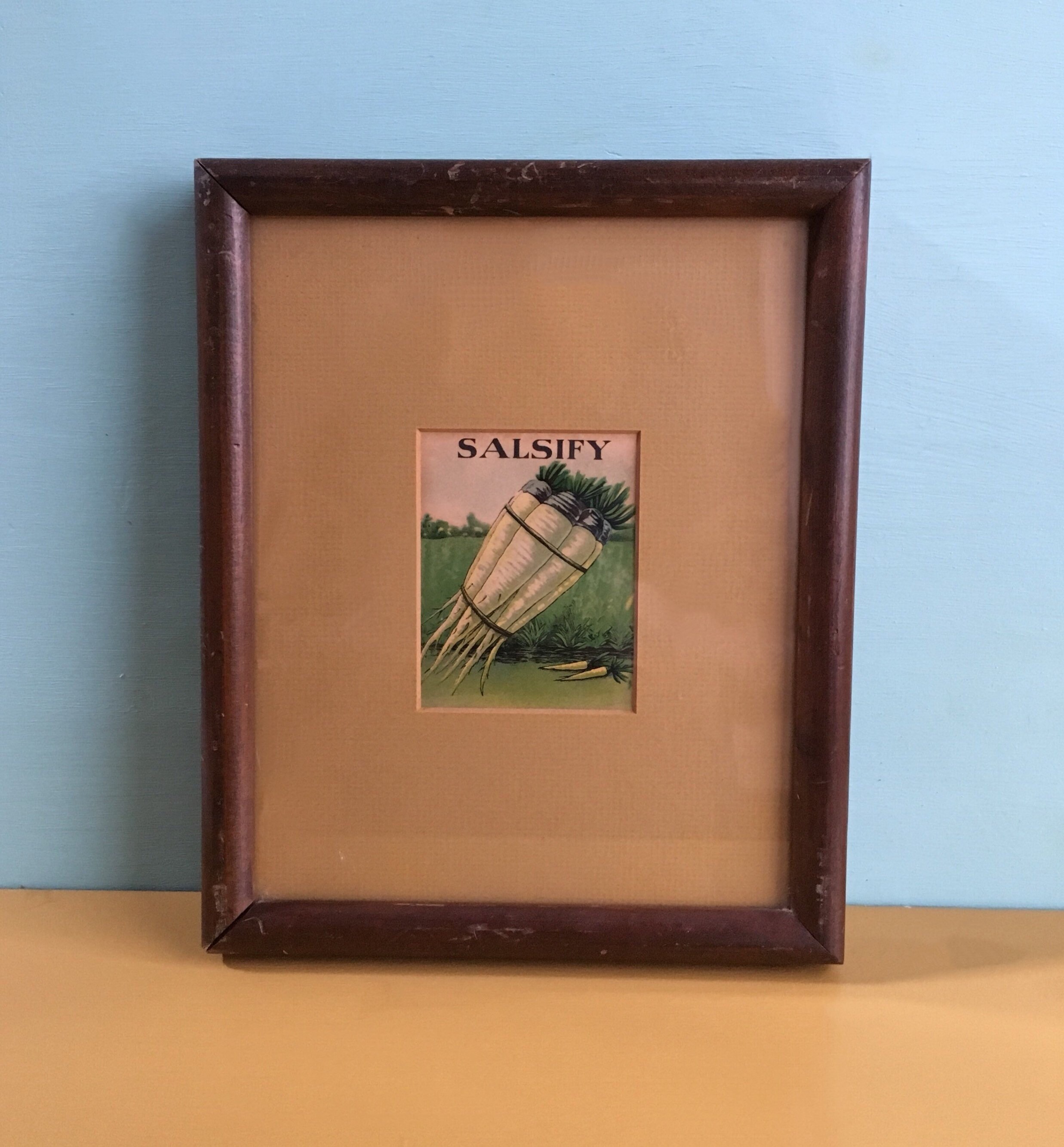 Vintage 1930s Yellow Green Salsify Root Litho Print In Wooden 1