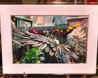 Metal Bird Photograph (2006)