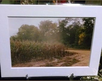 The Cornfield Photograph (2003)