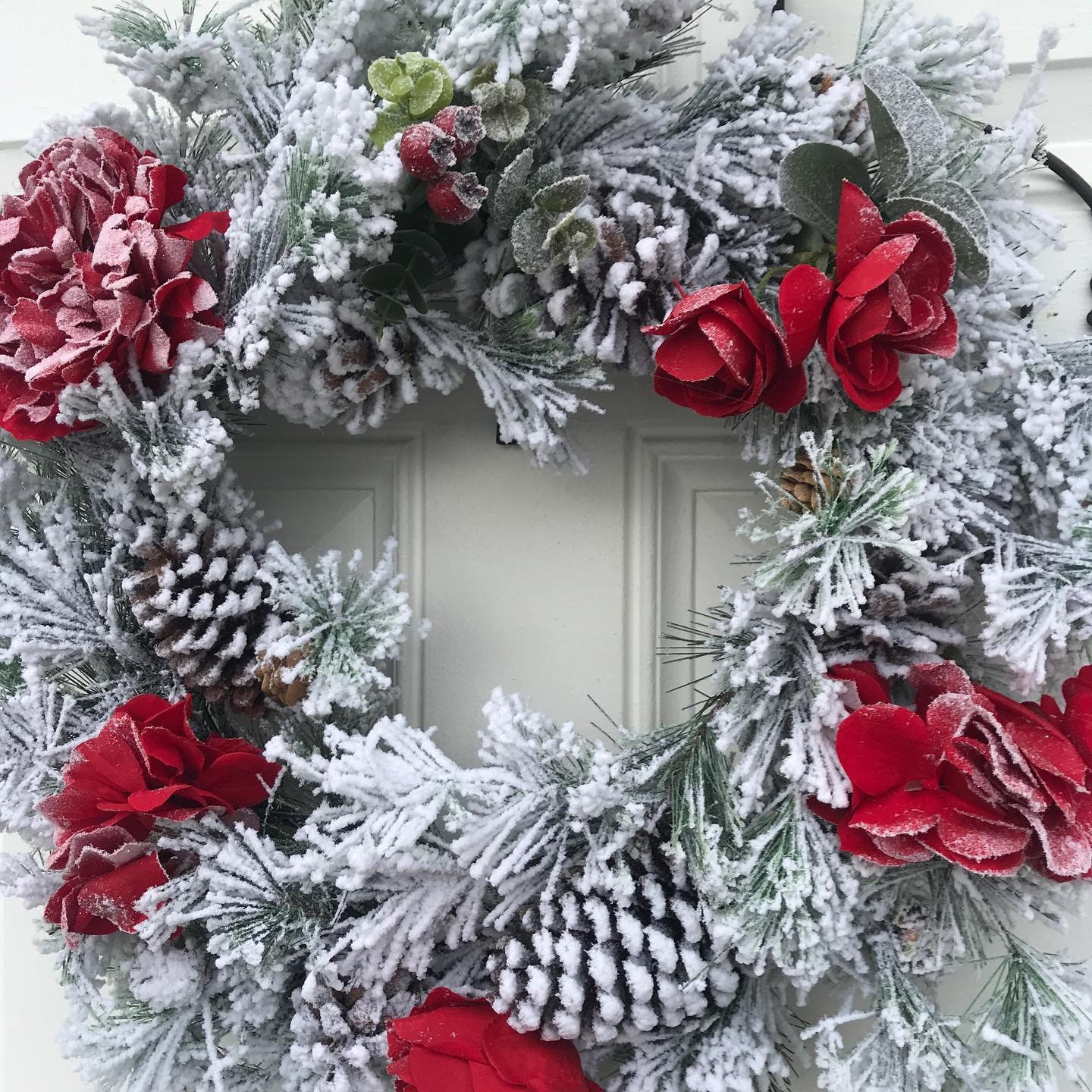 Flocked Christmas Wreath 