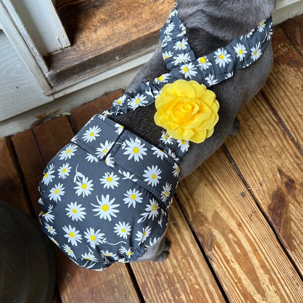 Cute Dog Clothes Etsy