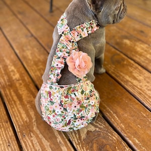 Pañal para bulldog francés con tirantes: Pañales para perros Garden Party para el calor
