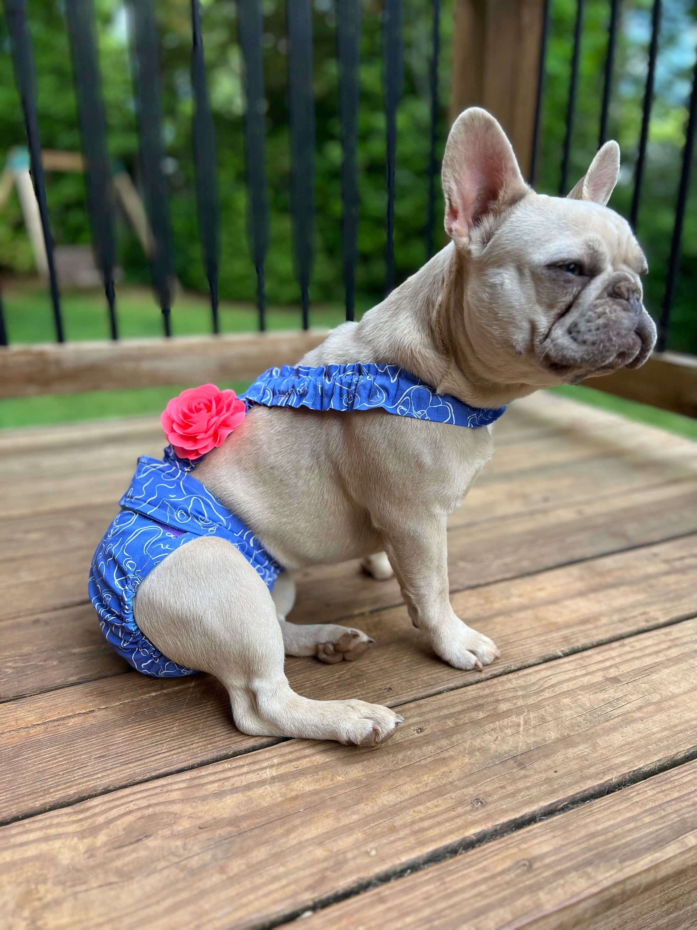 FRENCH BULLDOG Diaper AGF frenchie Serene Fabric Comfortable Frances Bulldog Diaper Cover With No Tail Female Dog Diaper Bitch Britches Etsy