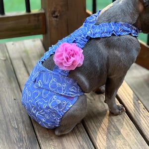 French Bulldog Diaper w Suspenders: Washable Female Frenchie clothes for Dog travel airplane