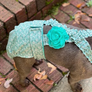 FRENCHIE DIAPER "I'm Feelin' Daisy" suspender bitch britches heat pants