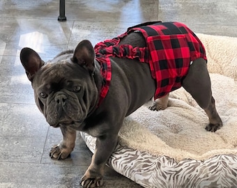 Buffalo Plaid French Bulldog Belly Band:  Male Dog Diaper with Bowtie Suspenders