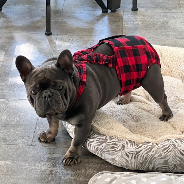 French Bulldog Reusable Diaper Etsy