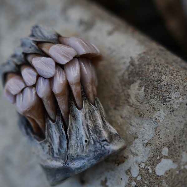 Old bone- mini/slim, Dental Windproof Lighter, hand sculpted teeth, - OOAK