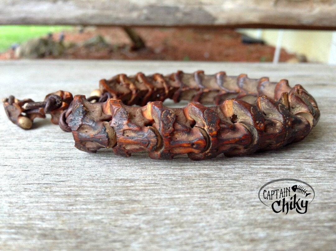 Authentic African Snake Vertebrae With Leather Bracelet / Snake Vertebrae Bracelet / Exotic