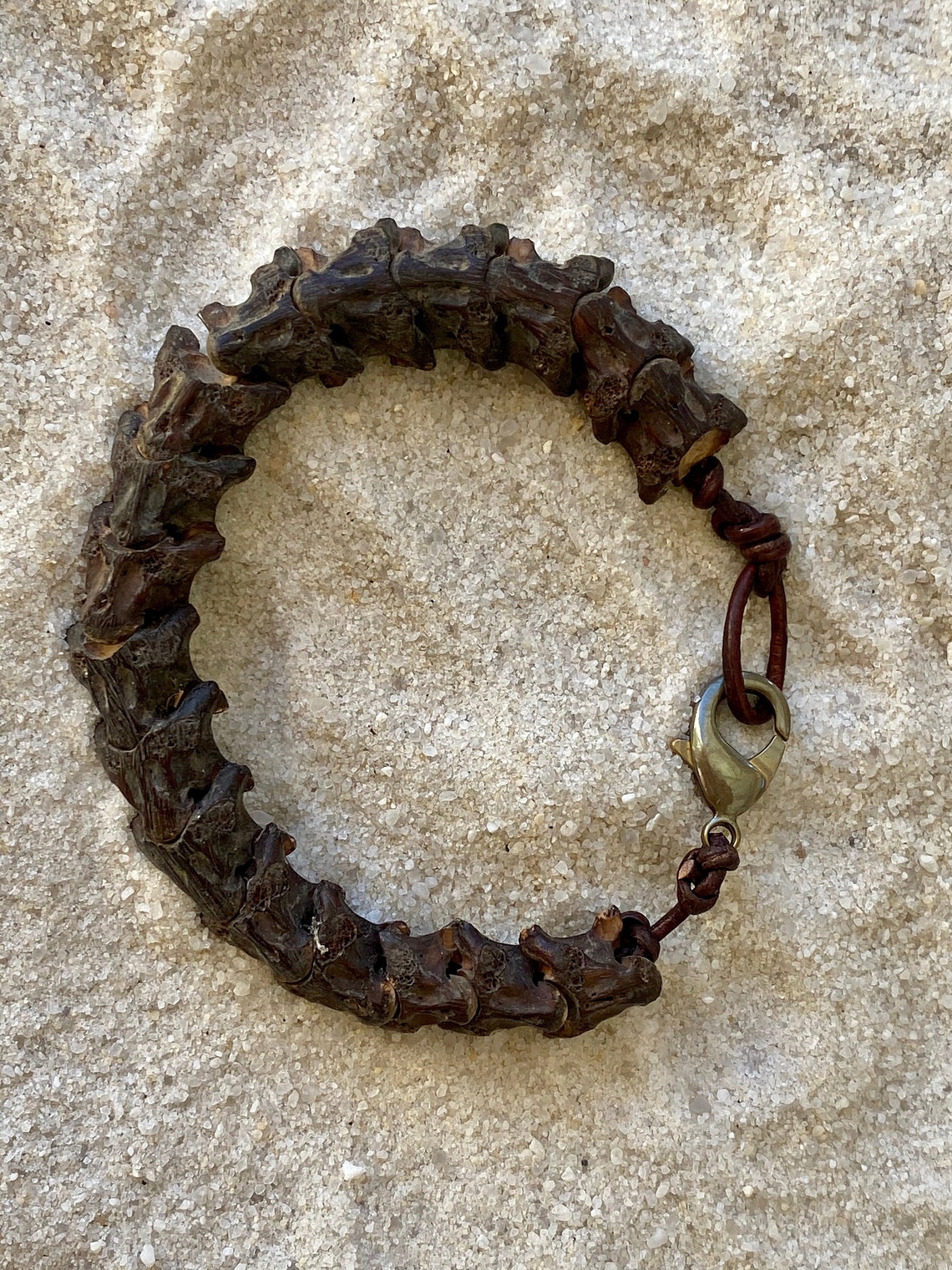 Authentic African Snake Vertebrae With Leather Bracelet / Snake Vertebrae Bracelet / Exotic