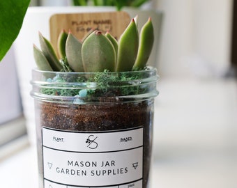 Terrarium Mason Jar Garden Kit with Plant, Terrarium Kit, Succulent Plant, Succulent Plant Gift