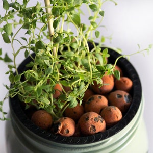 Hydroponic Mason Jar Garden Kit Set Indoor Mason Jar Hydroponics Easy Garden Kit Soilless Garden Grow Herbs image 8